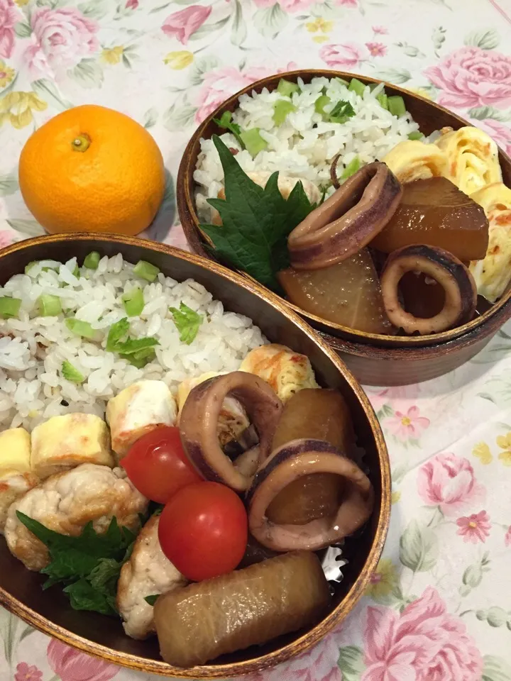 4月26日
大根菜の混ぜ込みごはん
イカと大根の煮物
桜えび入り卵焼き
鶏胸肉の生姜入り丸め焼き＋大葉
ベリートマト
みかん|ひななぎさん