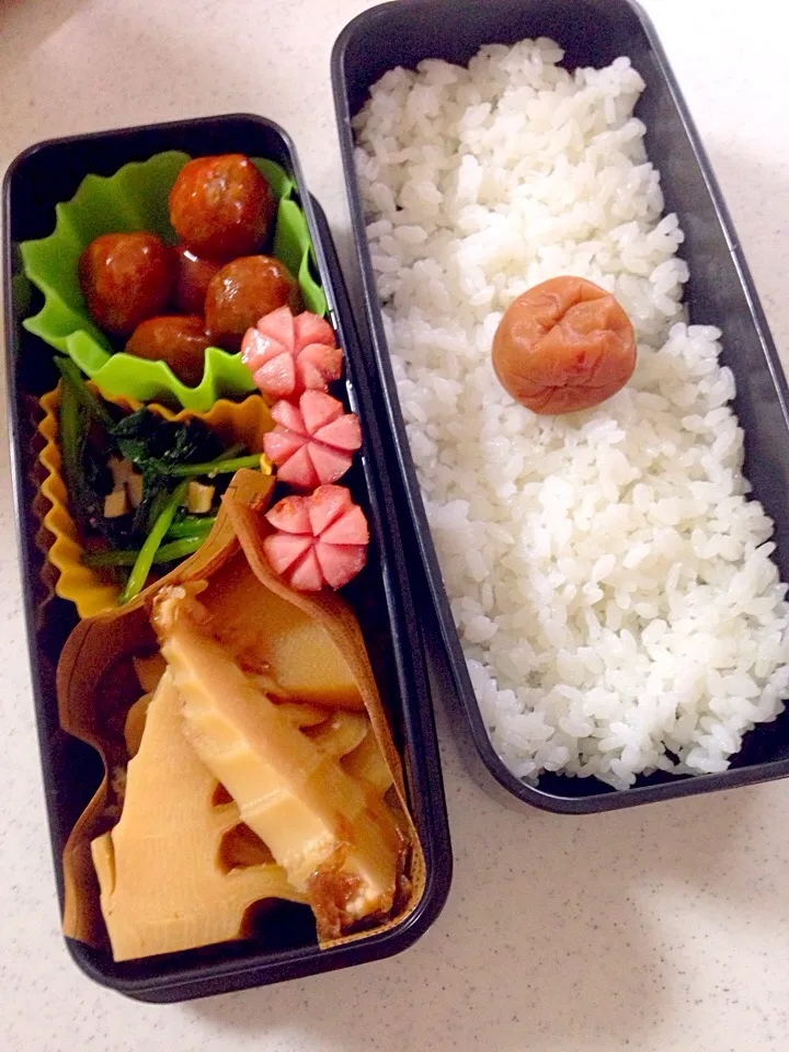 たけのこ煮物のお弁当。|マイさん