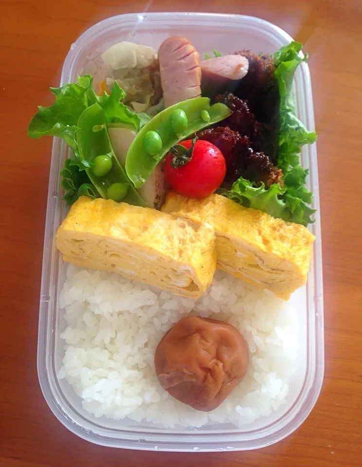 Snapdishの料理写真:ヒレカツ弁当‼️
シュウマイ  鶏ハム  玉子焼き  ウインナー
スナップエンドウ・プチトマト・サニーレタスで彩り良く♪|みゆさん