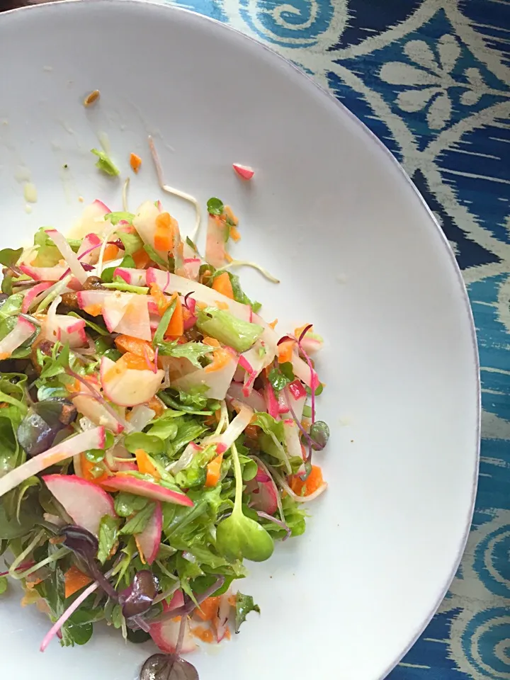 spring salad with cumin seed dressing|Matthew Cashenさん