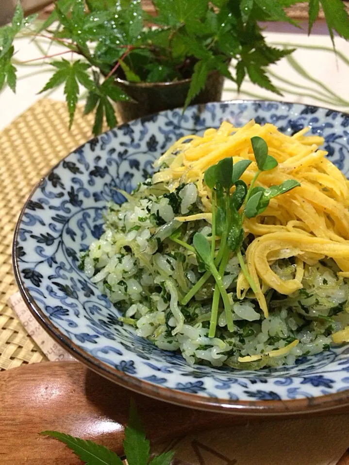 Snapdishの料理写真:パセリとおじゃこの炒めご飯🌿 パセリを脇役から主役に😊🌿🌿|🌿ぴぴさん