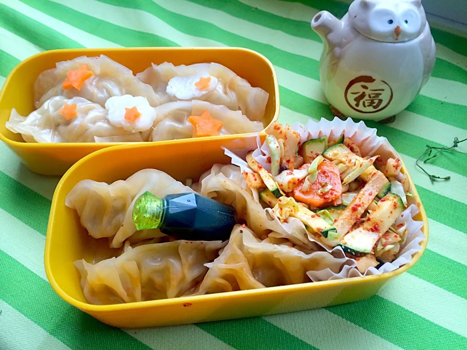 Snapdishの料理写真:Dumplings bento|Rugilė Audronashaさん