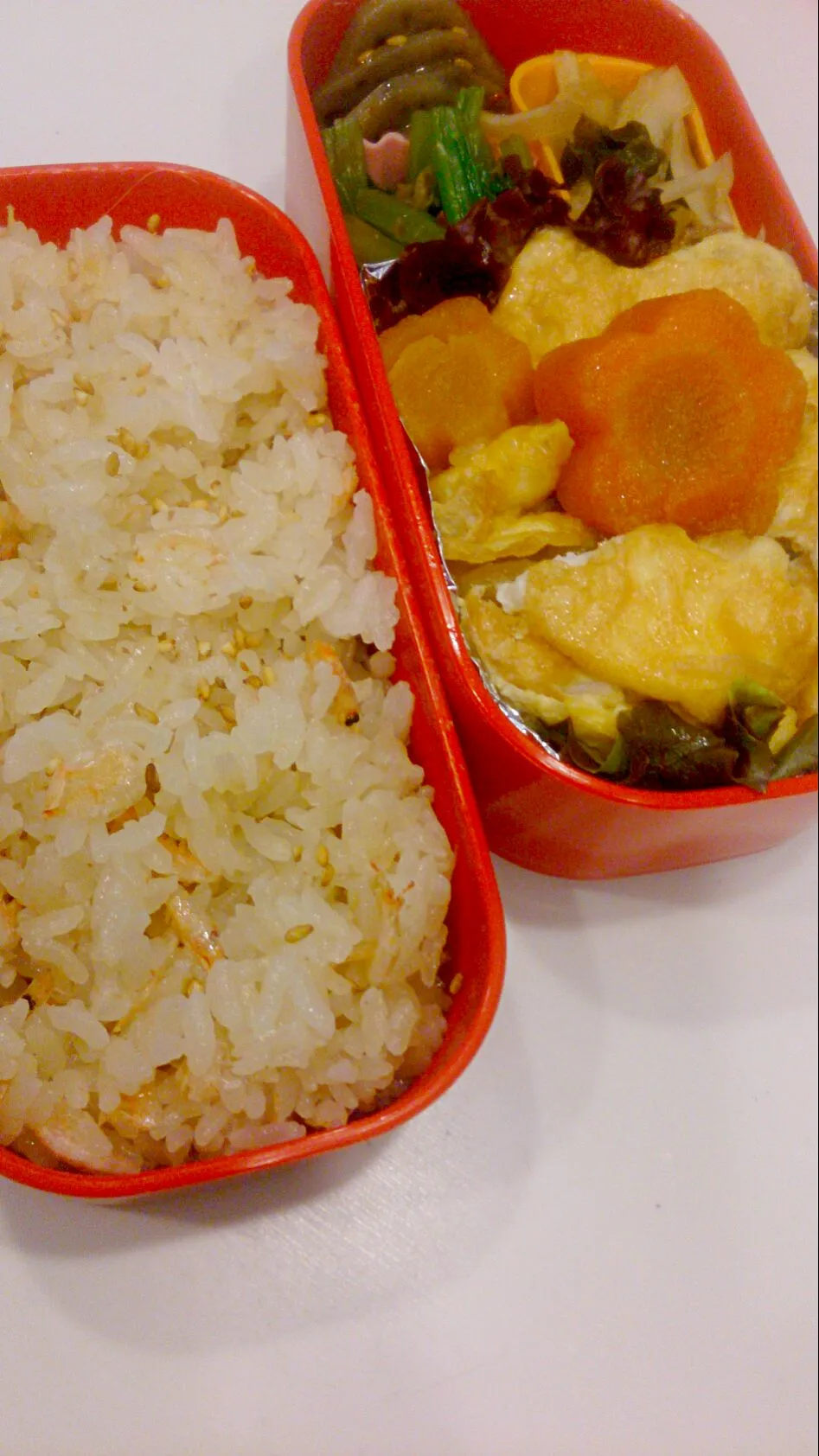 Snapdishの料理写真:昨日のお弁当
桜海老ご飯・ほうれん草お浸し・肉じゃがオムレツ・レンコンきんぴら・新玉ねぎとわかめのポン酢和え|ゆかさん