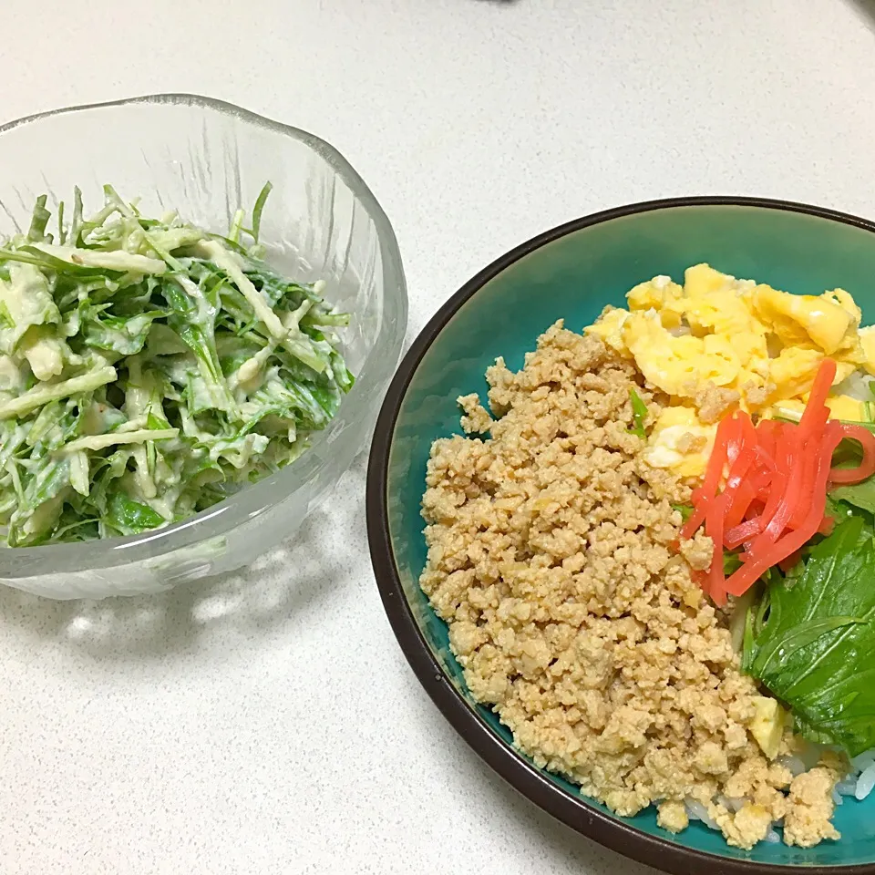 そぼろ丼＊水菜サラダ|naomiさん