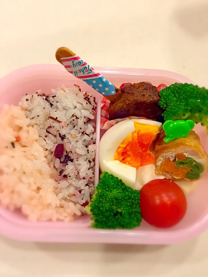 2色ごはん弁当✨|Michiko Okamotoさん