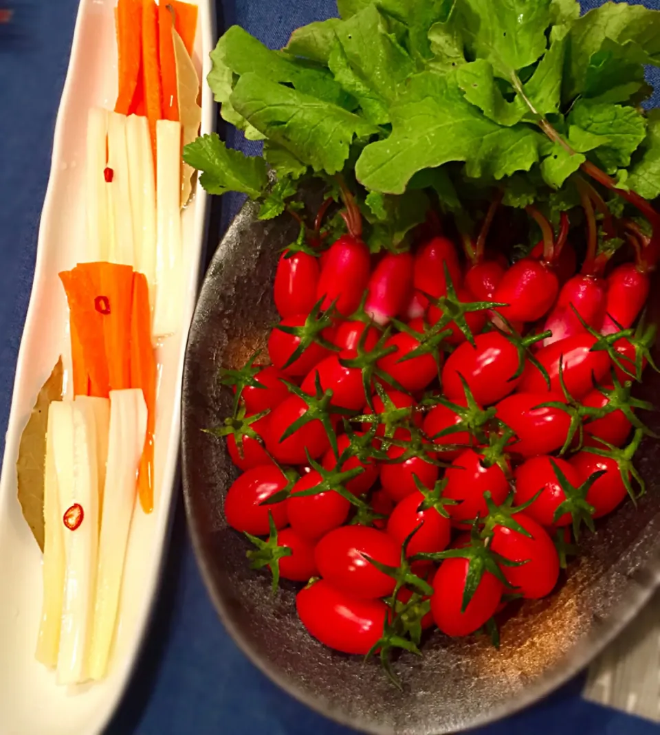 Snapdishの料理写真:野菜盛り🍅アイコ🍅二十日大根🍅セロリと人参マリネ|もとぱんさん