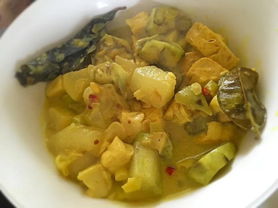 Sayur Lodeh : Eggplant, tofu, calabash with coconut milk|lia apriliaさん