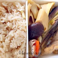 Bamboo shoot lunch box