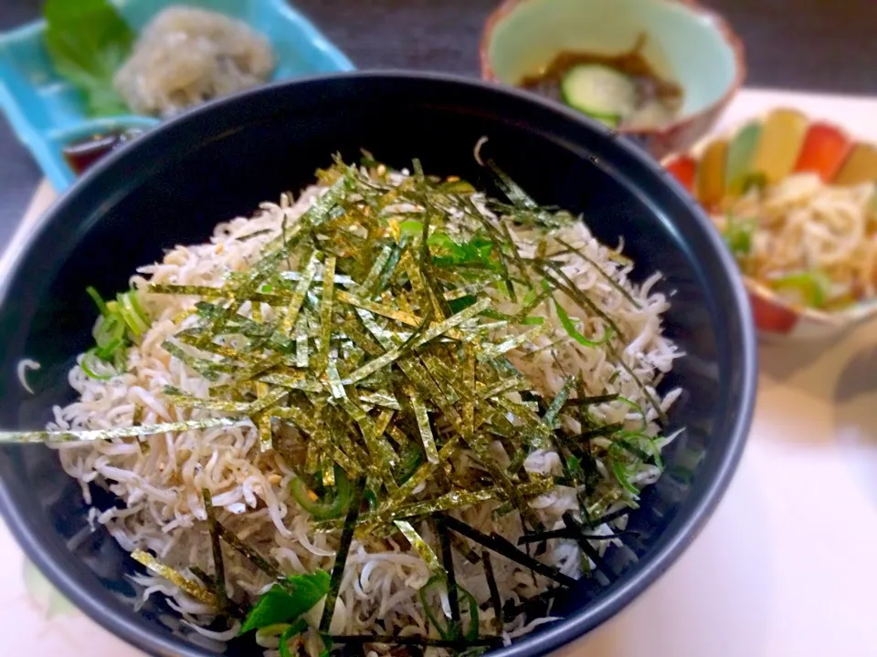 しらす丼|かっきさん