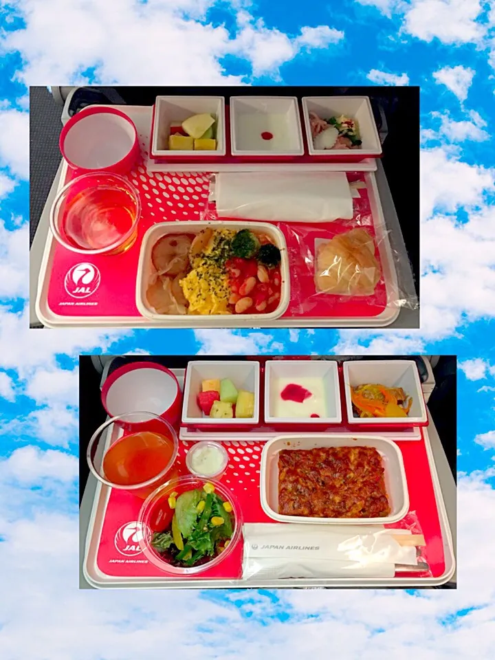 Snapdishの料理写真:✈️JALの機内食|pentarouさん