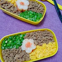 Snapdishの料理写真:お花見そぼろ弁当|chibamiさん