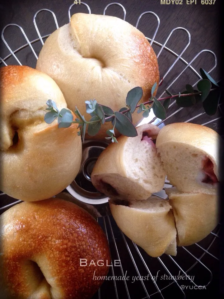 いちご酵母🍓 de ベーグル🍩
キタノカオリでモッチモチ💕
誰も食べないお饅頭入り(⌒-⌒; )|yucca@さん