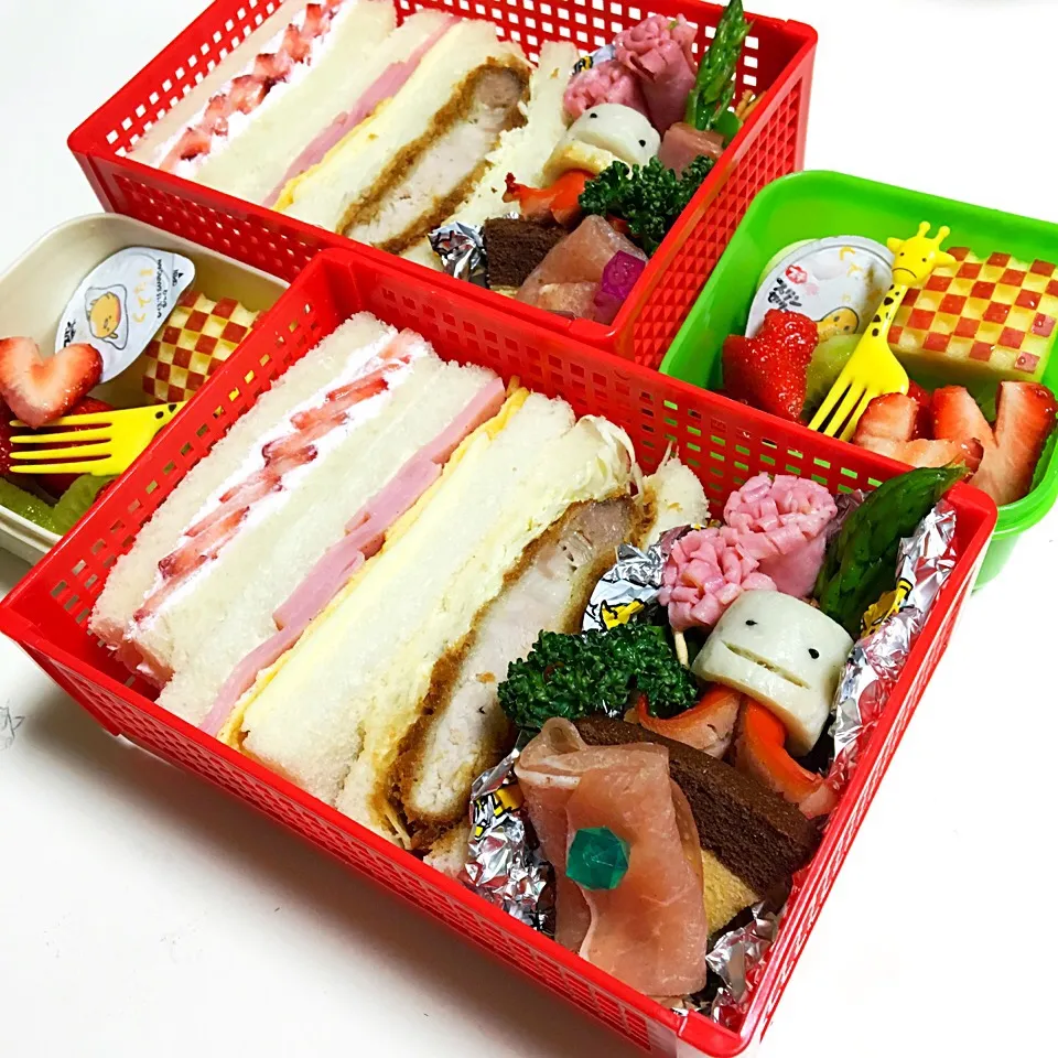 遠足予備日のお弁当(❁•ᴗ•❁)|yo-.さん