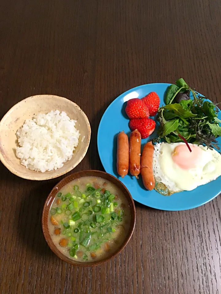 4月28日朝ごはん|やすこさん