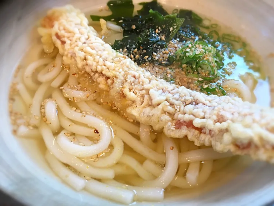 ちくわ天うどん|naoko shimoshimbaraさん