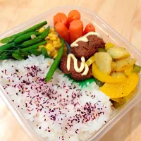 Snapdishの料理写真:ハンバーグのタッパー弁当|ころりんぼさん