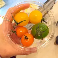 いろんな種類のトマト🍅|Sさん