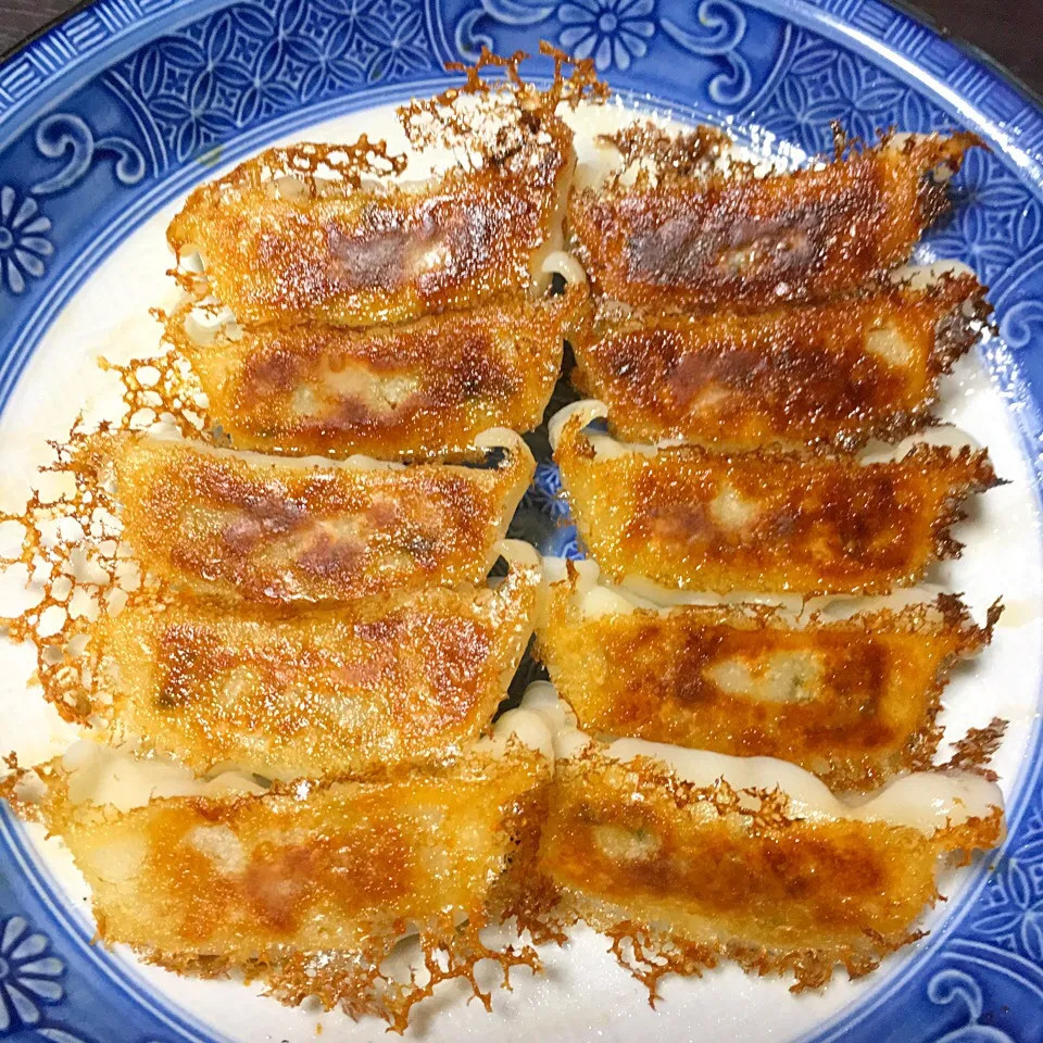 'Gyoza' Japanese shallow fried dumplings 「ギョーザ」|H3L1DAさん