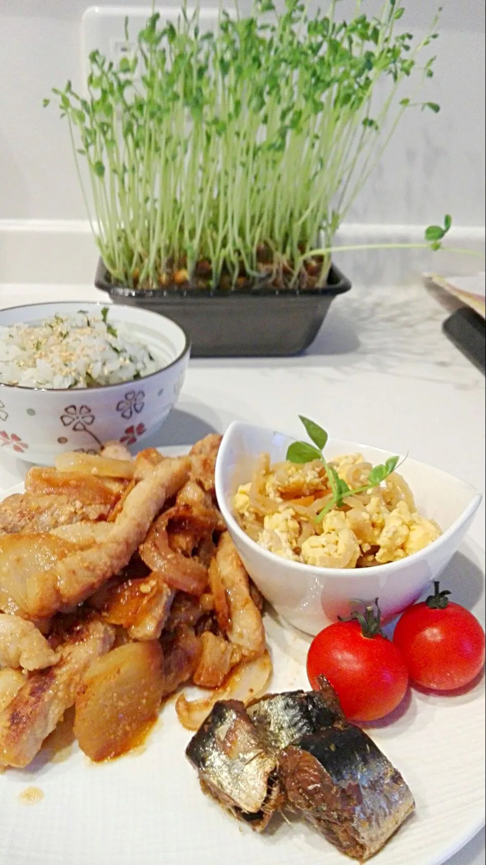 ワカメご飯
豚の味噌漬け焼き
千切り大根の卵炒め
さんまの缶詰め風|むつみさん