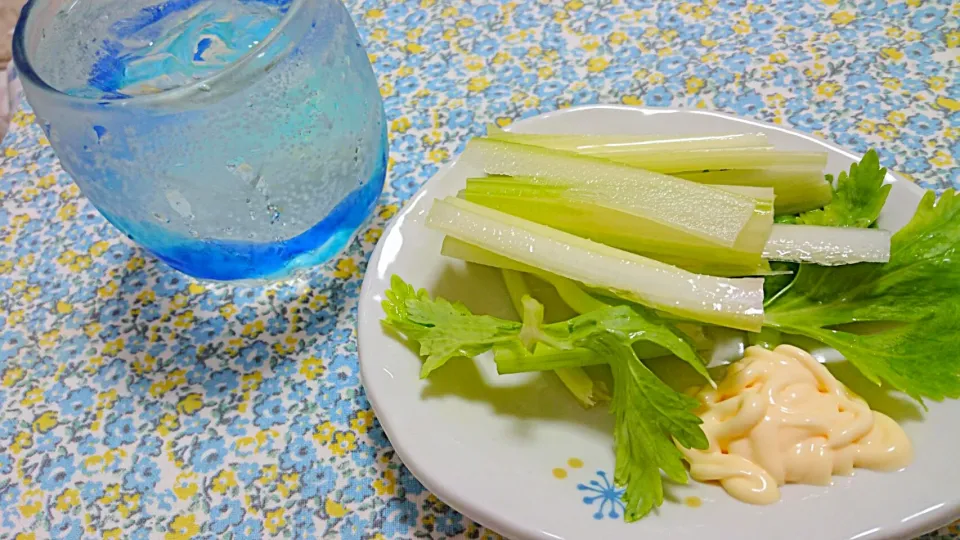 GW初日は自宅でジンを飲む|わこさん