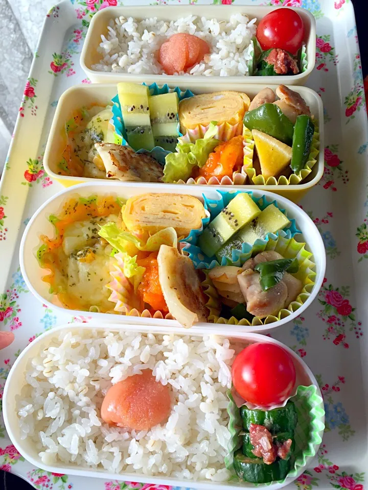 給食ない日の中学娘のお弁当✨|naoちんさん