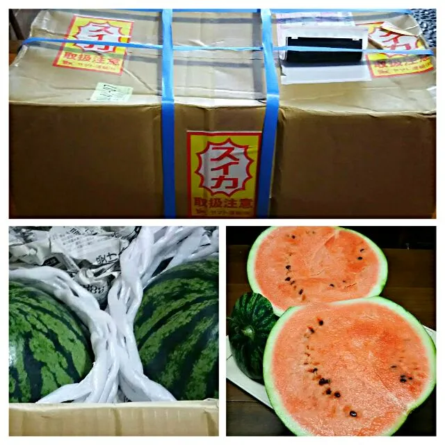 復興支援 熊本すいか🍉|あらいぐまのしっぽさん