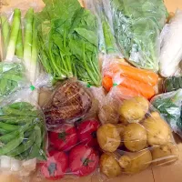 実家から沢山野菜が届きました♡