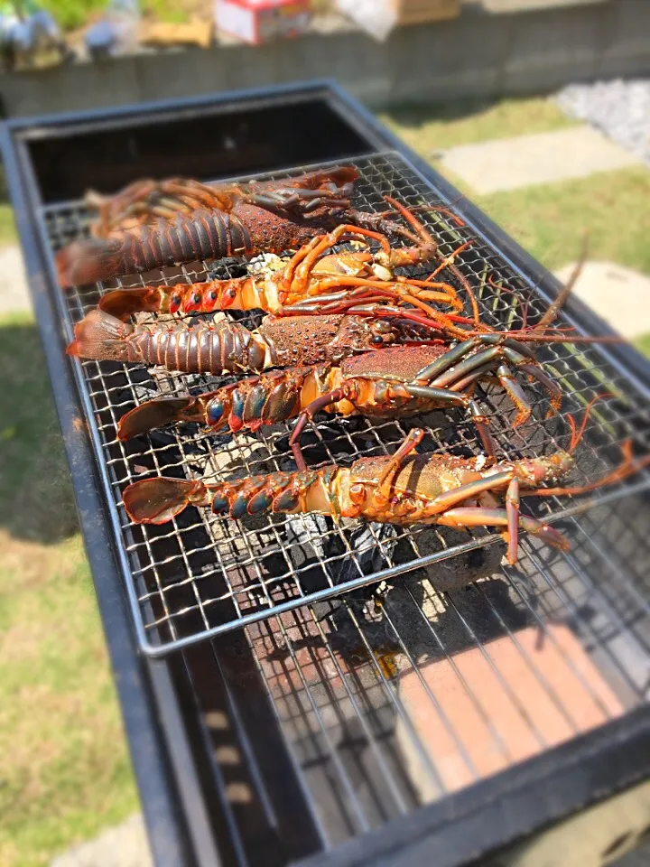 伊勢海老 BBQ|さやかさん