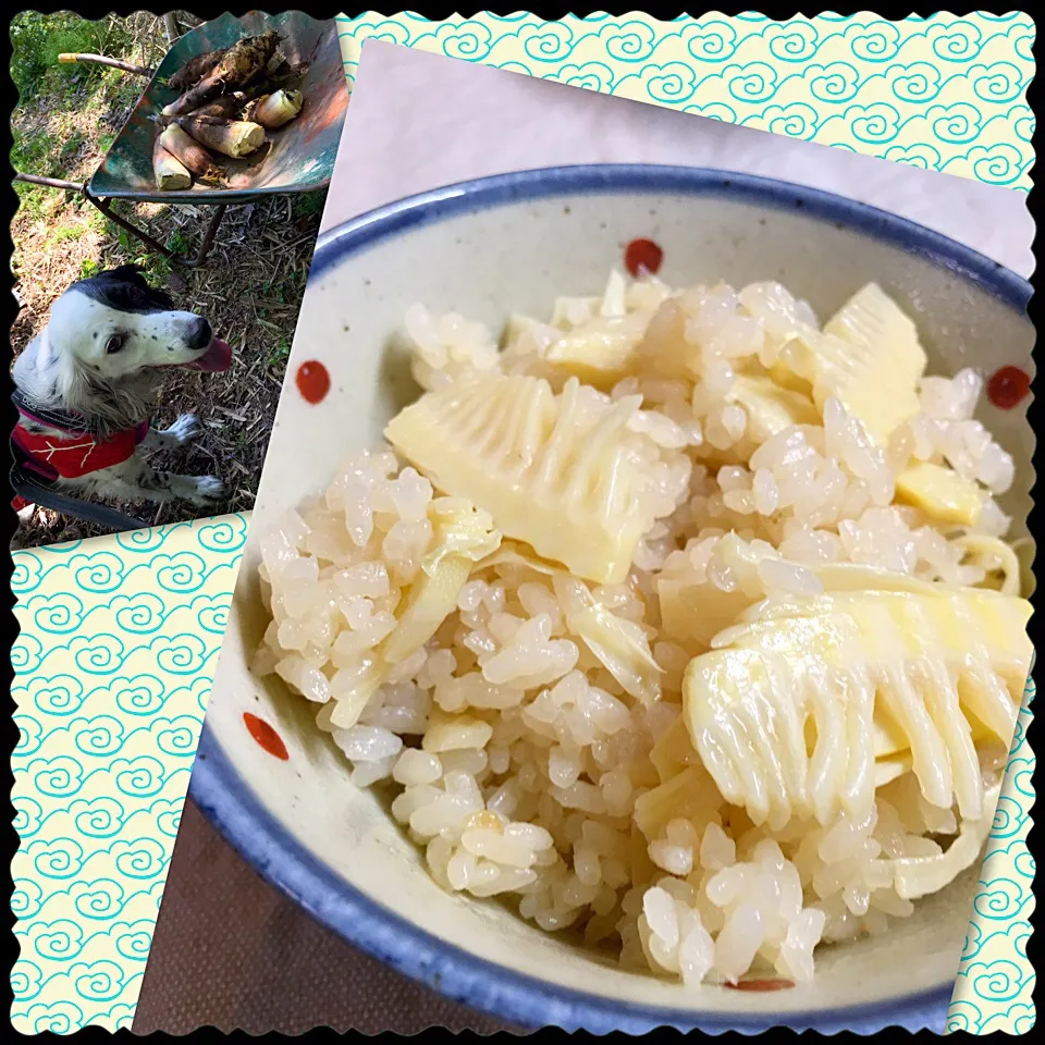 Snapdishの料理写真:筍掘りの朝採り筍で筍ご飯🍽|がうママさん