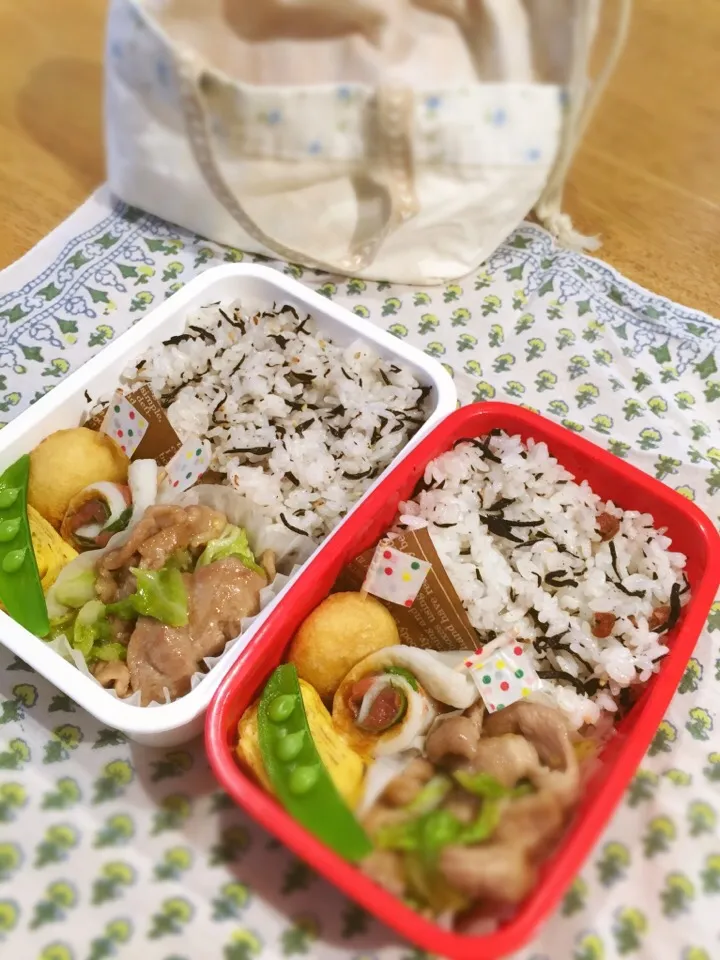 Snapdishの料理写真:✳︎今日のお弁当✳︎|K&S...akkoさん