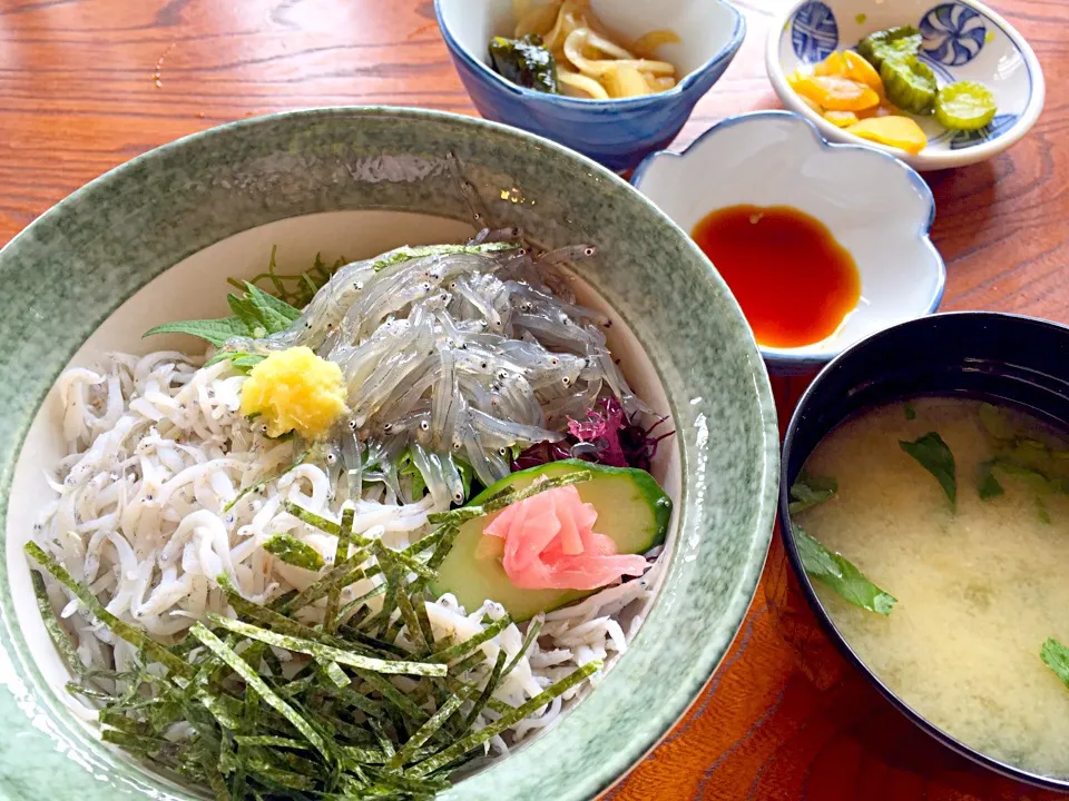 生&釜揚げしらす丼@江ノ島|swanさん