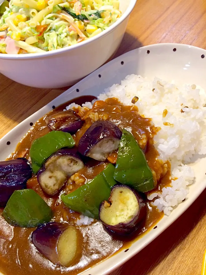 ２日目カレーは、夏野菜カレー✨に変身&野菜いろいろサラダ|pigmegさん