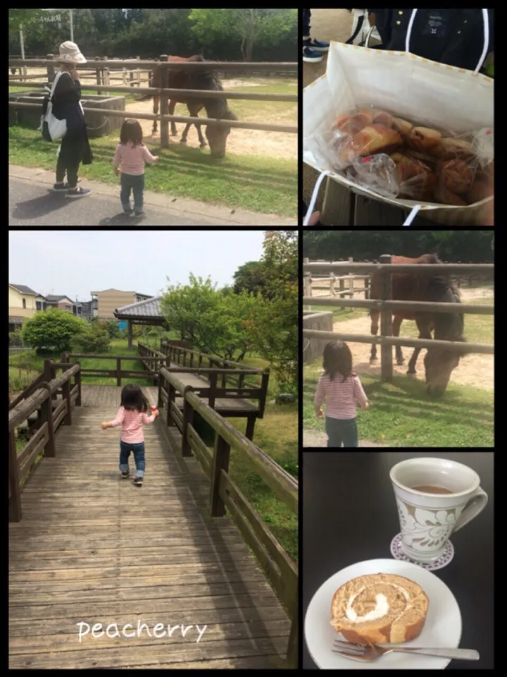 Snapdishの料理写真:プレゼント探しとのんびり屋外ランチ〜🍞|☆ぴ〜ちゃん☆さん