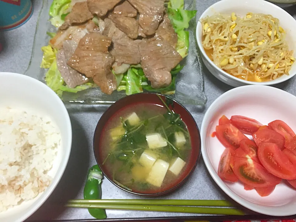 麦飯、豚バラ豚肩ロースキャベツ炒め、豆苗豆腐味噌汁、もやし漬けてあるやつ、トマト|ms903さん