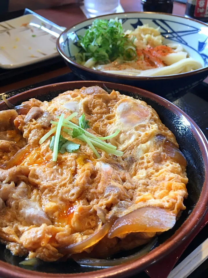 親子丼とぶっかけうどん|ドキンちゃんさん