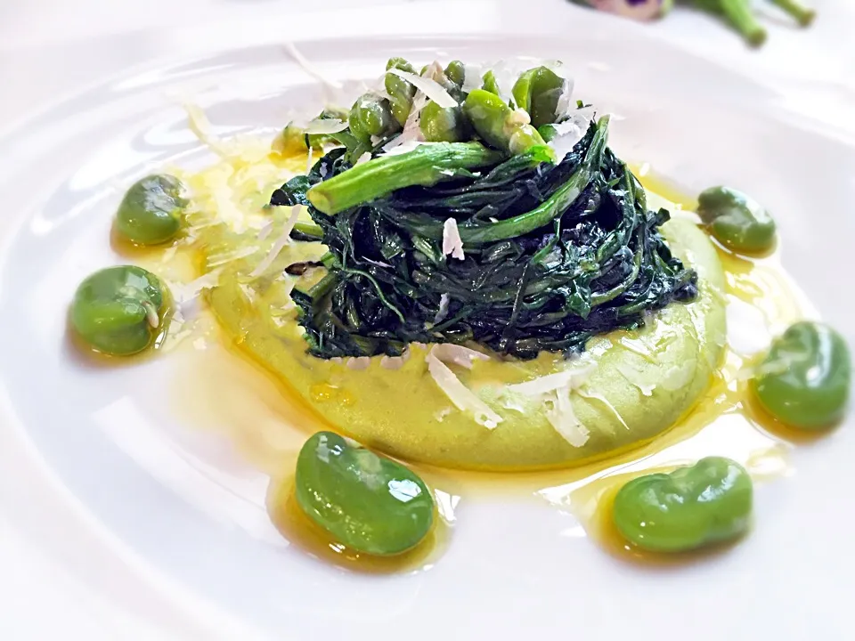 Snapdishの料理写真:Fava beans puree, sauted Chicory and Pecorino cheese|laura giardinaさん