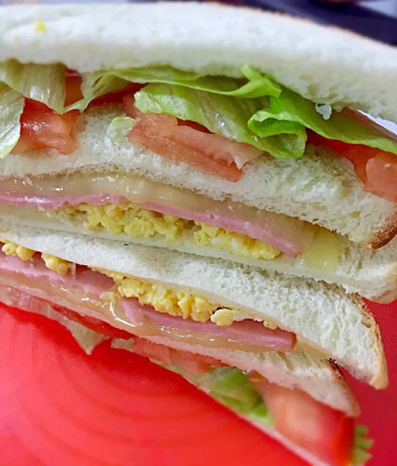 Sandwich egg, ham, mozzarella n veg 🎒👦🏼|Tari's Kitchenさん