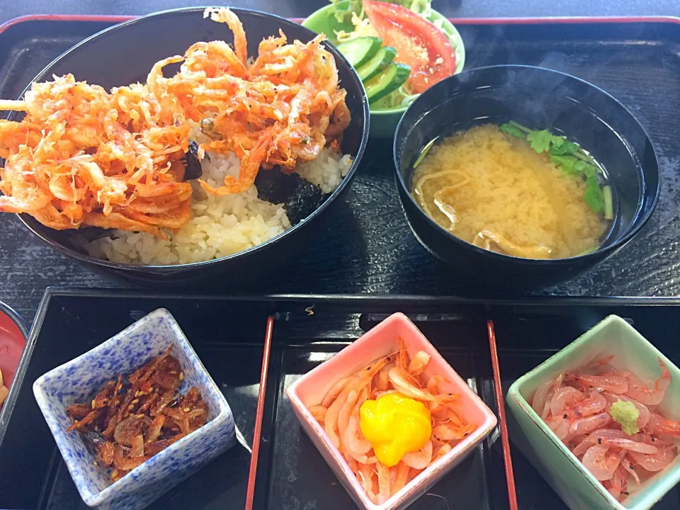 Snapdishの料理写真:由比の桜えびのかき揚げ丼|だんちゃんさん