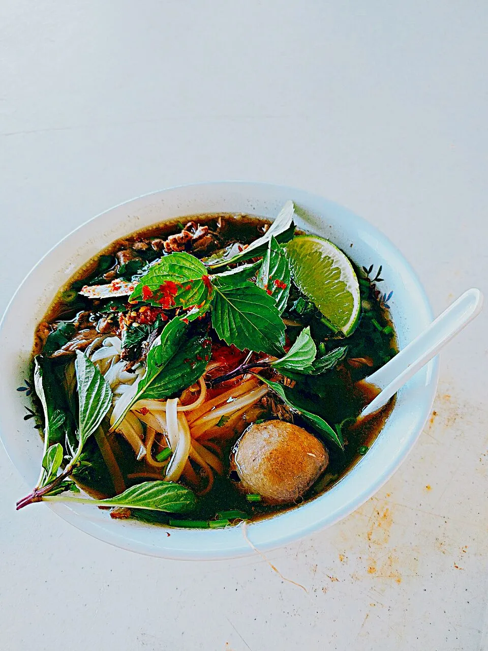 Thai noodles at the Melbourne Buddhist Temple|Bill Costlowさん