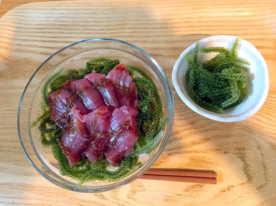 海ぶどう&とろろマグロ丼✧*|Makiさん