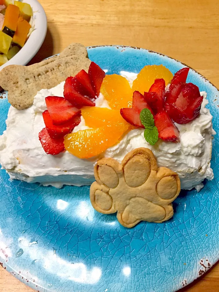 Snapdishの料理写真:犬用バースデーケーキ|ミカさん