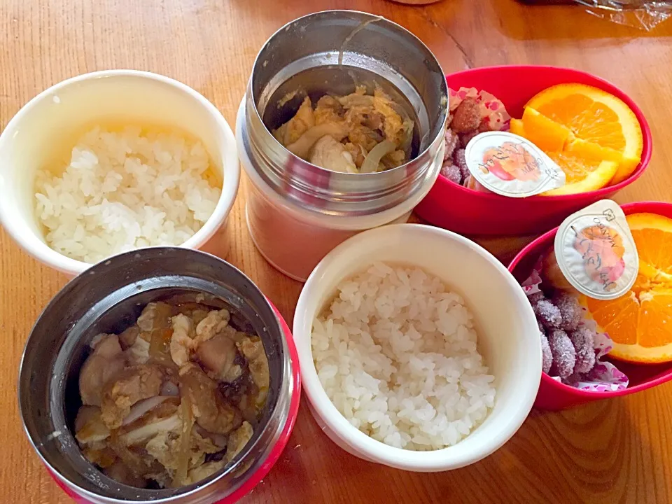 親子丼弁当|ツインズママさん