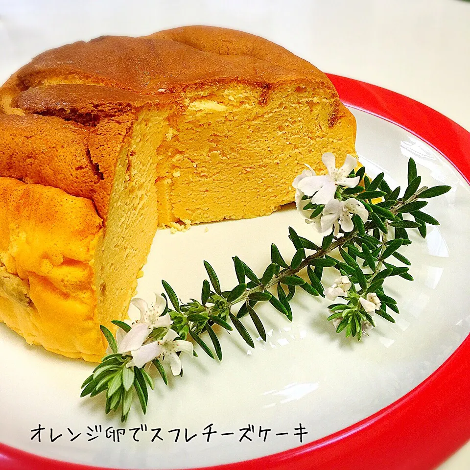 ひかりママさんの料理 チーズケーキ焼きました♥ ◁オレンジ卵で🐣|moyukitaさん