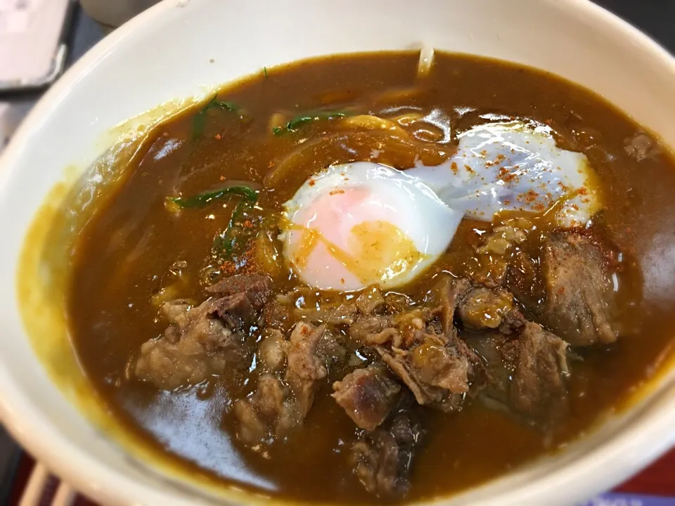 はなこの黒毛和牛牛スジカレーうどん
とろとろの牛スジに出汁とスパイスが絶妙のカレーうどん。|takeshi otaさん