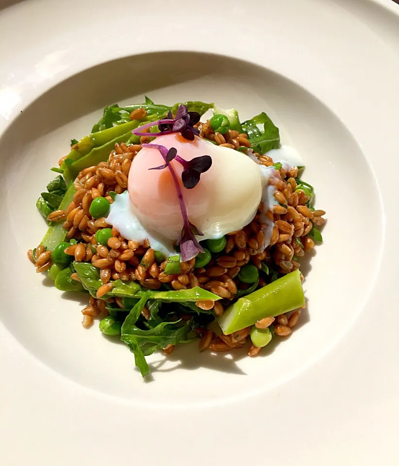 1hour egg-asparagus&peas-spelt|Aliceさん