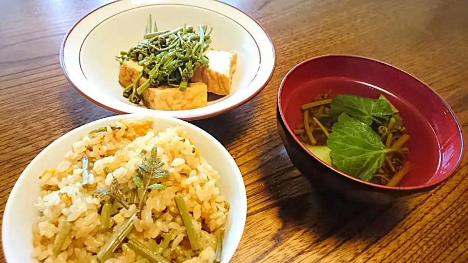 山菜朝定食 (蕨ご飯 蕨と雪の下のすまし汁 蕨と厚揚げの煮物)|ゆかりキッチンさん