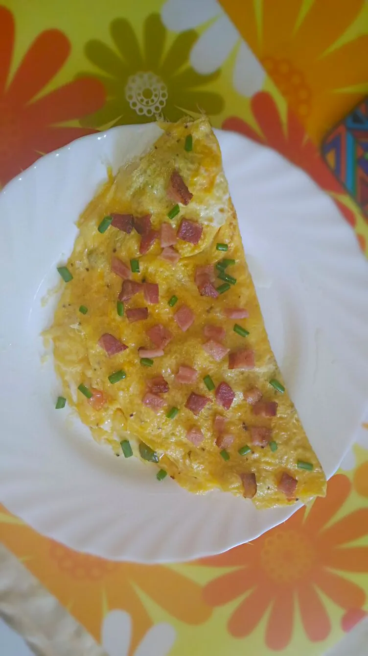 Snapdishの料理写真:Cheesy Omelette with Bacon Bits|Rinielさん