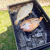 Snapdishの料理写真:のどぐろとカレイ|さやかさん