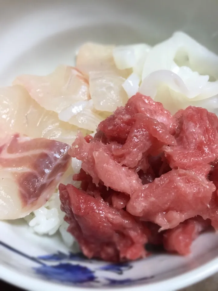 築地半値市
三色丼 マグロ中落ち、鯛、墨イカ😋|aястасияさん