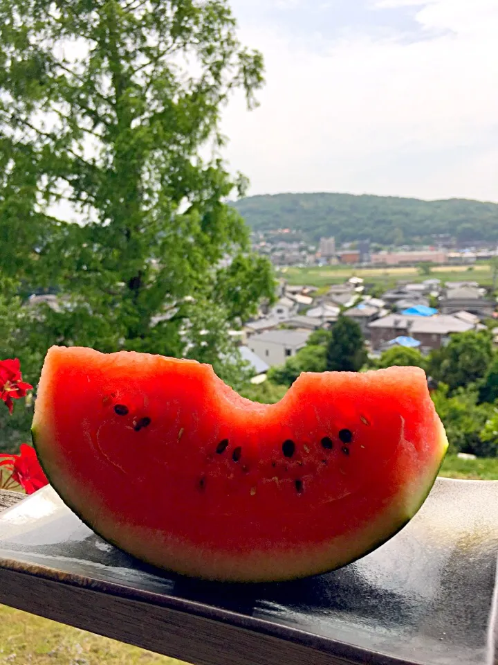 熊本のスイカは美味しい〜🍉|Sachiko WATANABÉさん